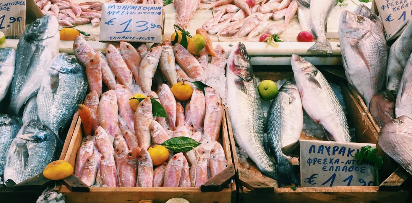 greek fish market.jpg
