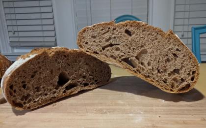 rustic loaf of whole wheat bread cut open at the center to reveal the crumb