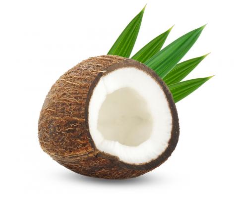 7-1_Coconut.jpg