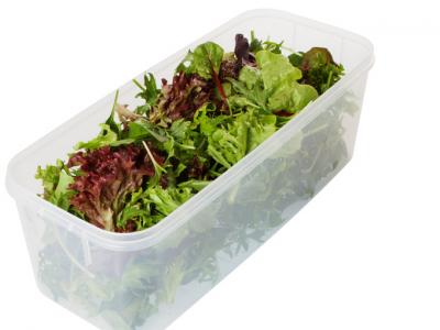 Leafy Greens stored in a plastic container