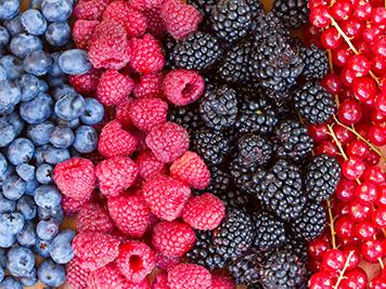 Mixture of fresh berries
