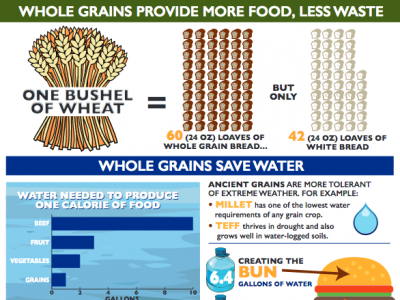 infographic about whole grains and sustainability