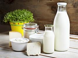 Milk, cheese and other dairy products