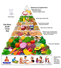 OVN-DietPyramid.jpg