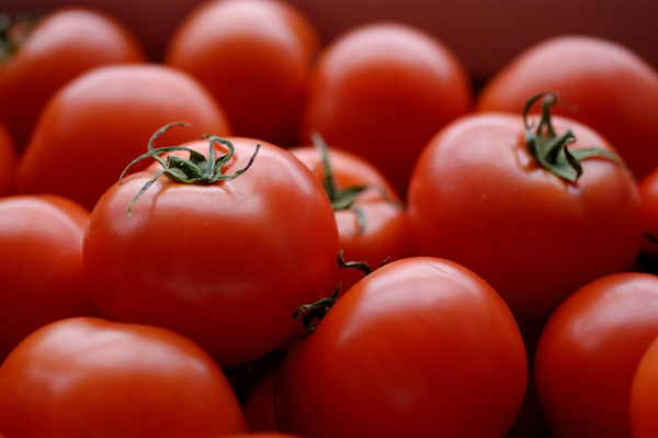 TomatoesFORWEB.jpg