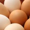Eggs 150 0.jpg