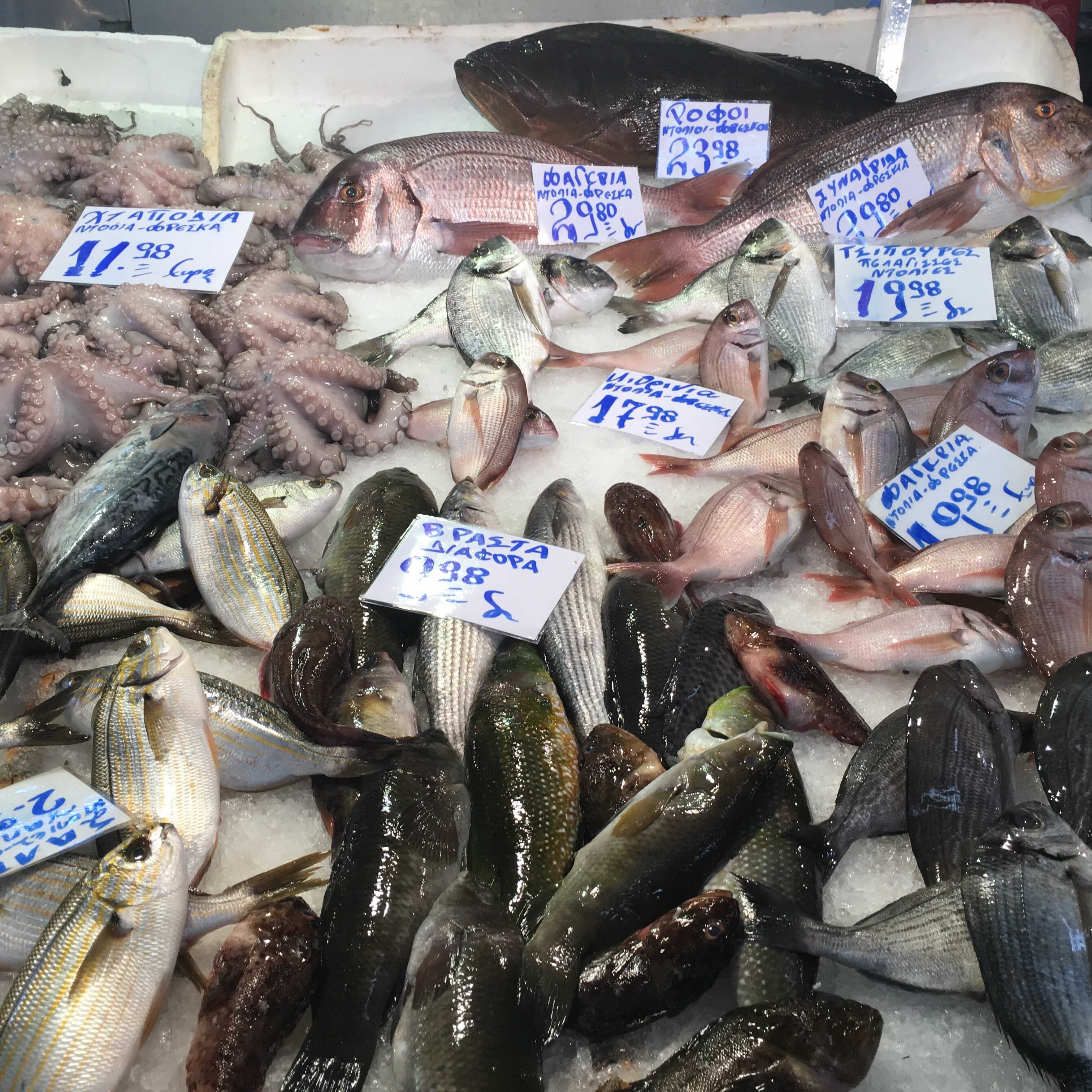 raw fish at market in greece