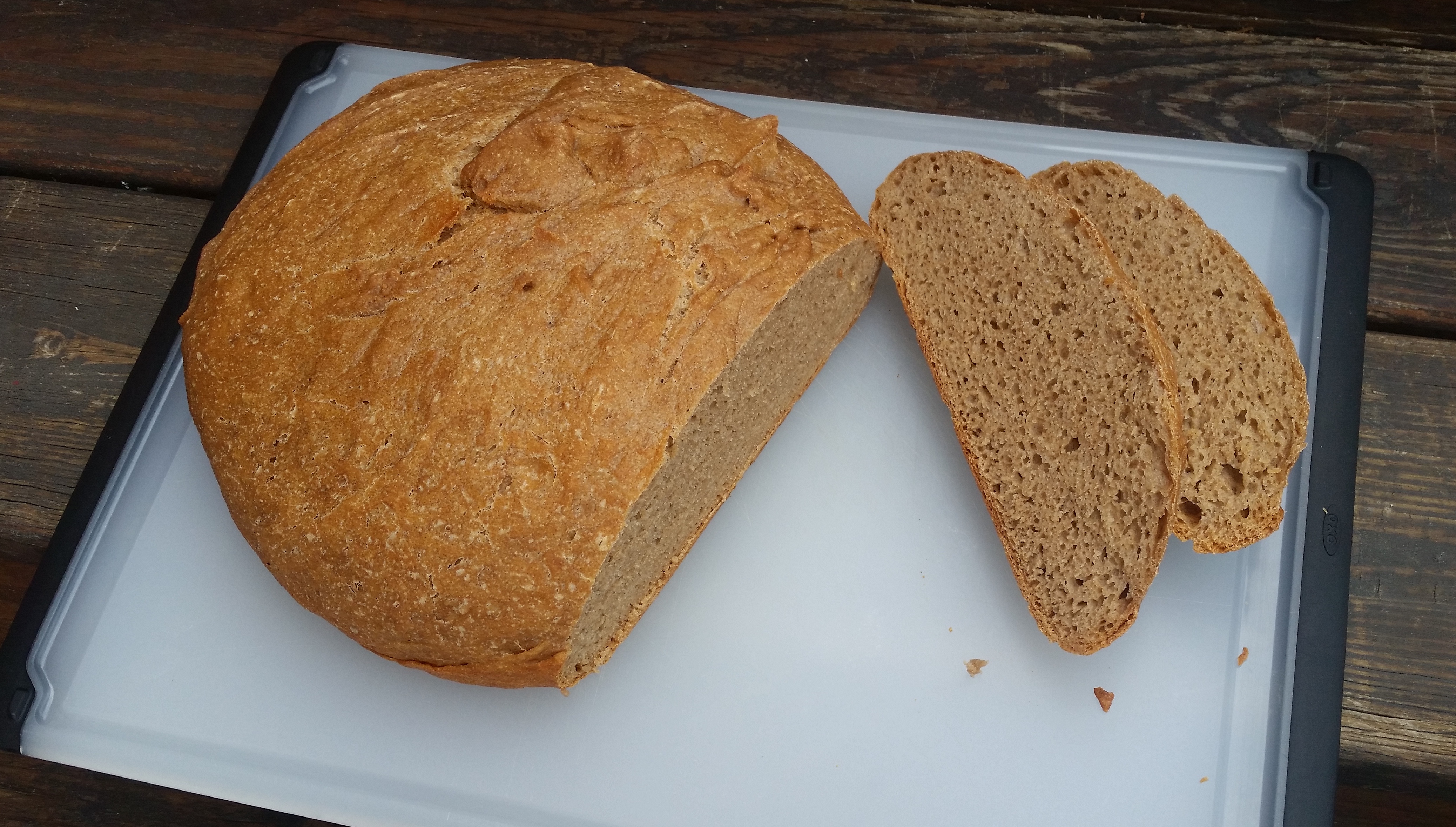 100% Sprouted Whole Wheat Bread