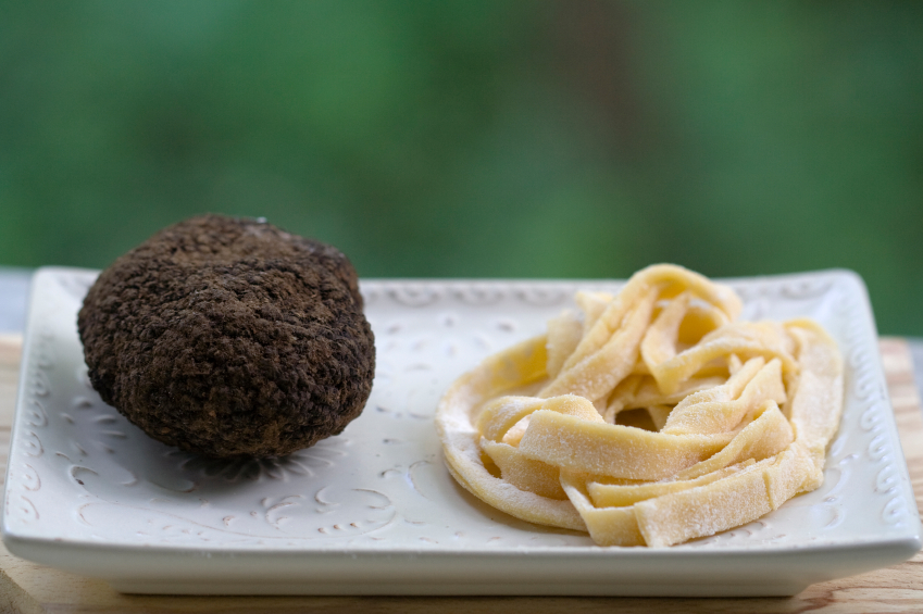 truffle and pasta.jpg