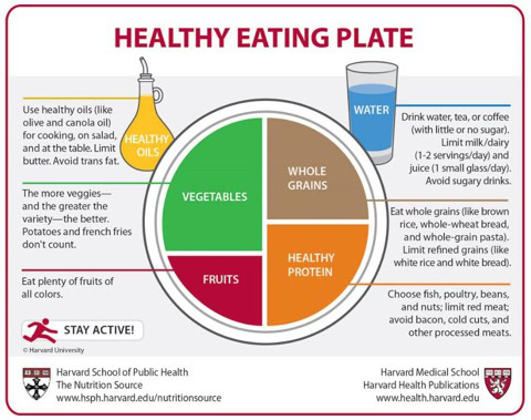 Harvard-healthy-eating-plate1 0.jpg