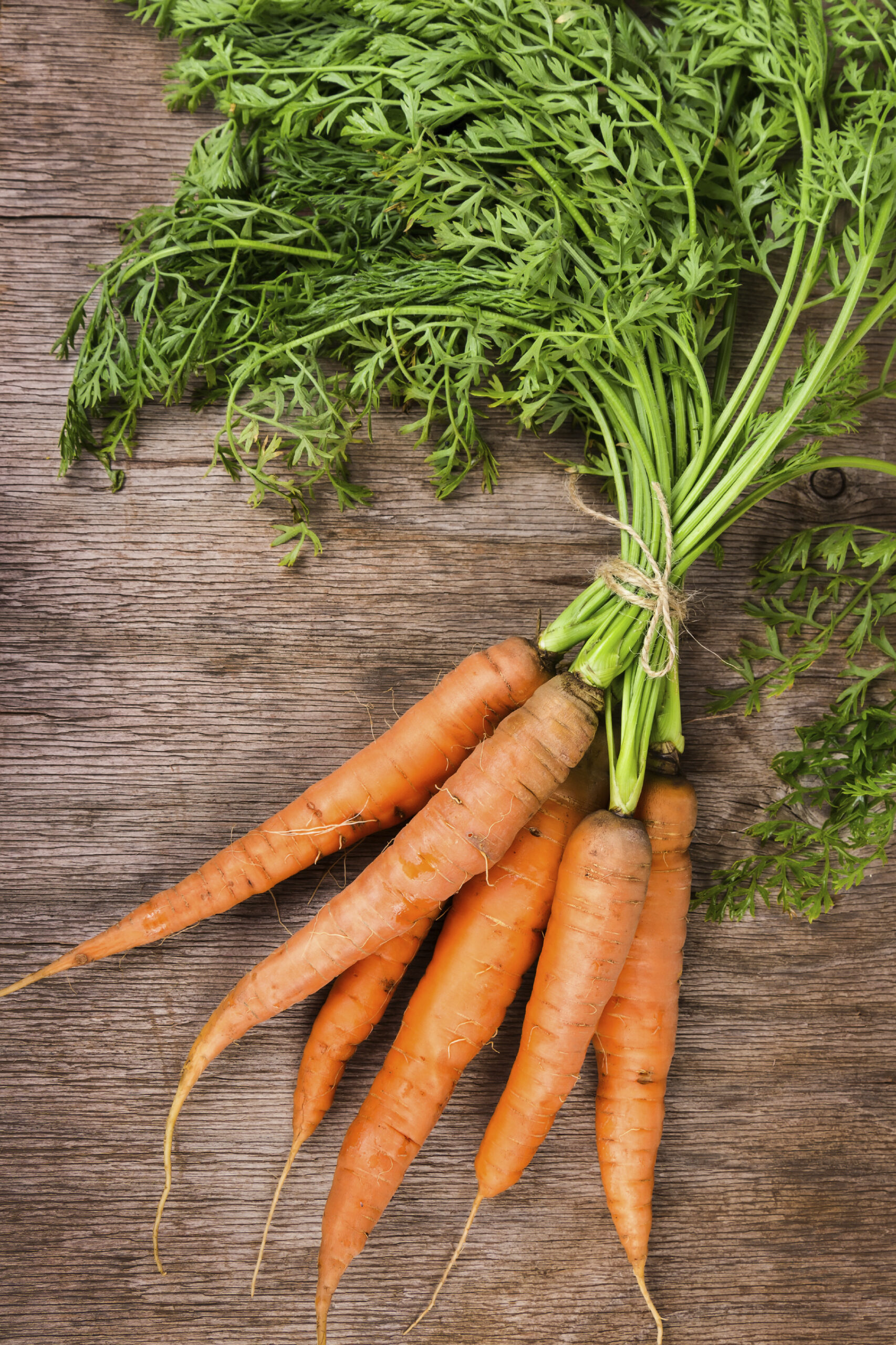 iStock_000045716558carrot.jpg