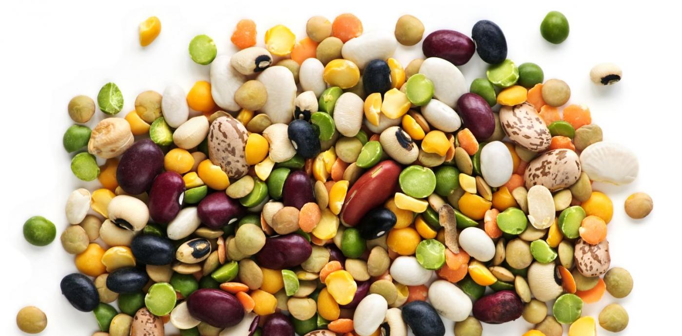 IStock 000013069313 Beans.jpg