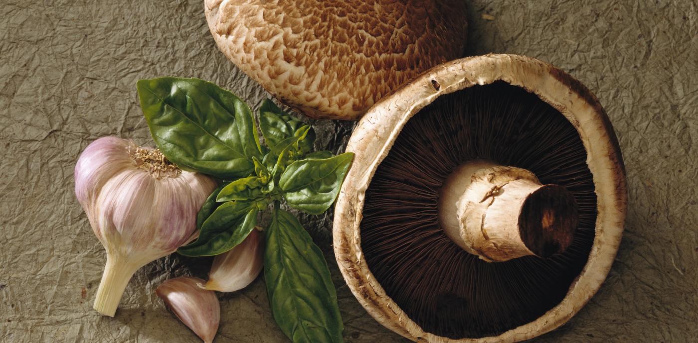 MUSHROOM COUNCIL Herb with Portabellas.jpg