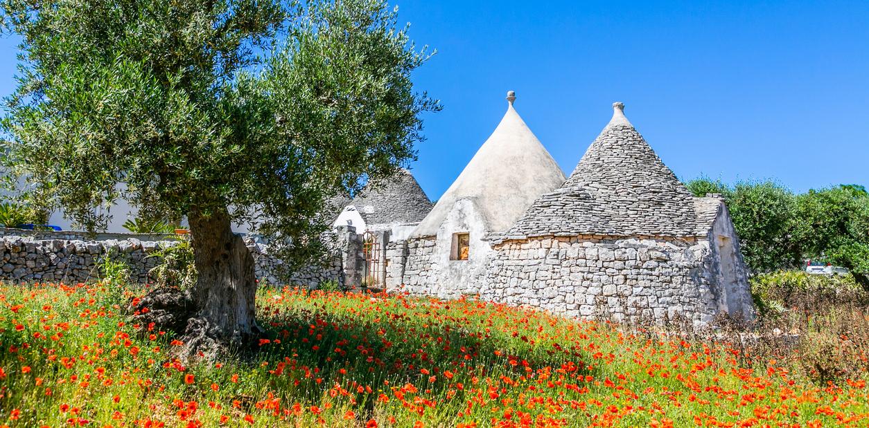 scenic photo trulli in Umbria Italy with red poppies 