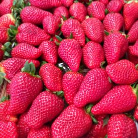 red strawberries