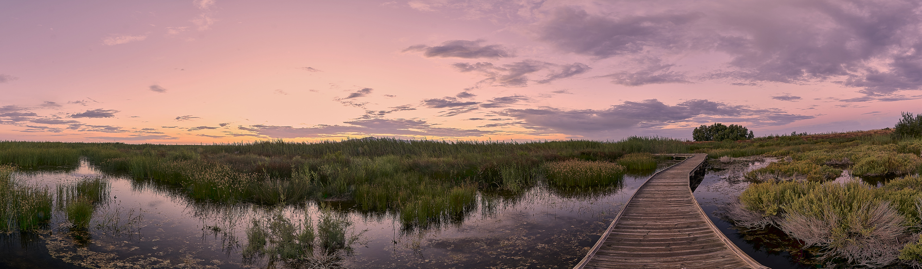 low country istock