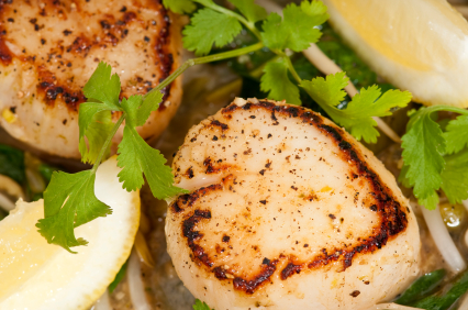 Seared Scalloops Gremolata