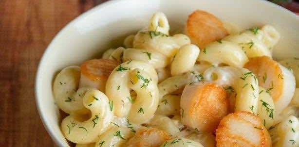 Seared Scallop Cavatappi in Creamy White Wine Sauce - OLDWAYS - Cultural Food Traditions OLDWAYS – C