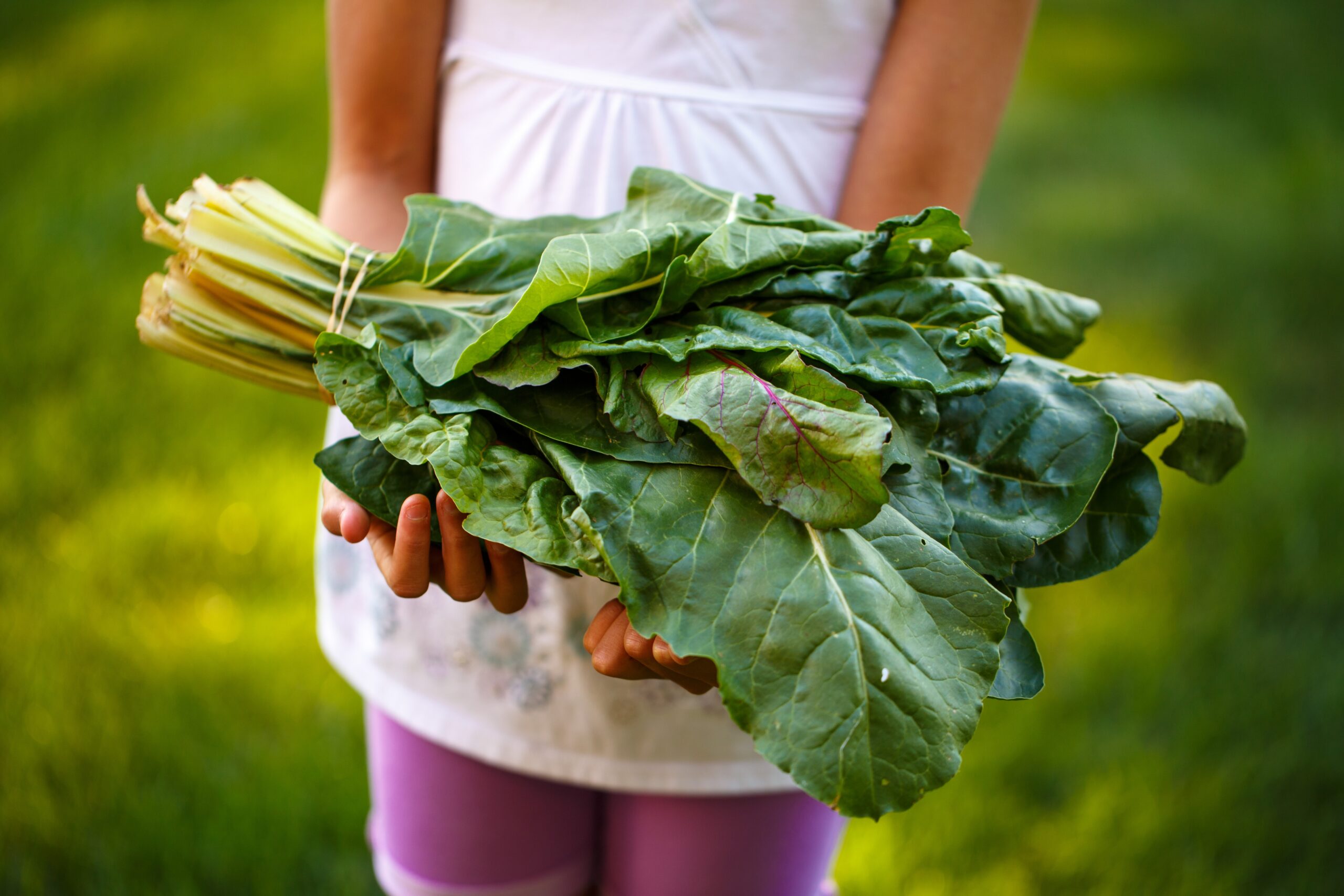 20 Leafy Greens Recipes for Brain Health \u0026 Vibrant Aging, image size:2560x1707
