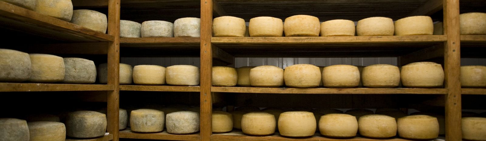 Blog Nov %205 Cheese%20Background%20copy.jpg