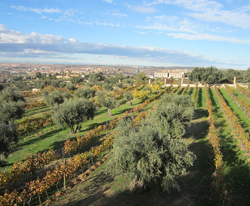 Madrid Toledo-view.jpg