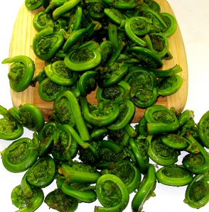 Fiddleheads4.jpg