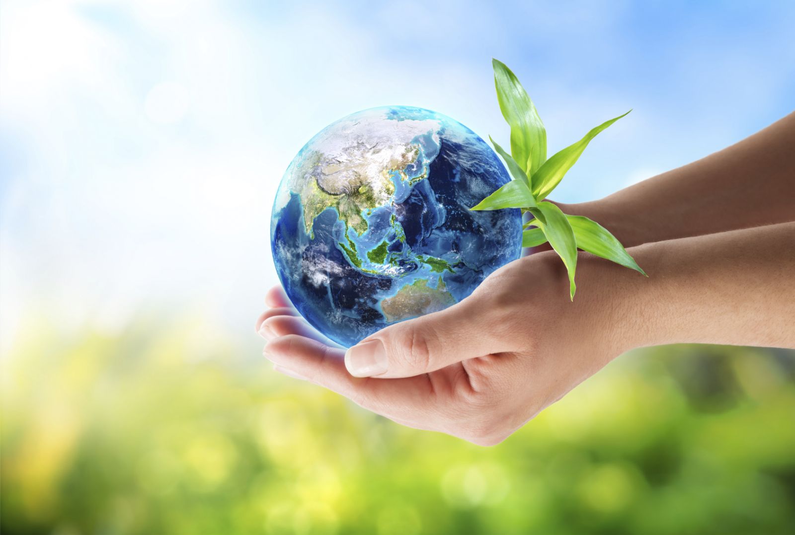 IStock 000041321394earth-hands.jpg