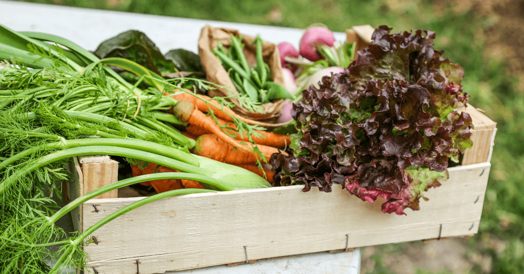 Five Ways to Use These Five Spring Vegetables OLDWAYS – Cultural Food ...