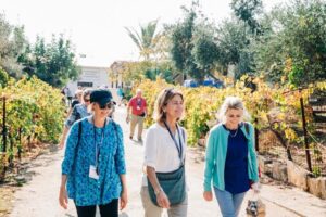Group of people walking through vineyard with autumn leaves.